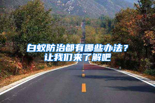 白蟻防治都有哪些辦法？讓我們來了解吧