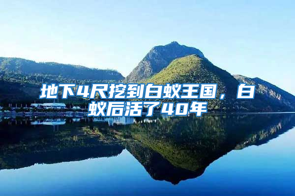 地下4尺挖到白蟻王國，白蟻后活了40年
