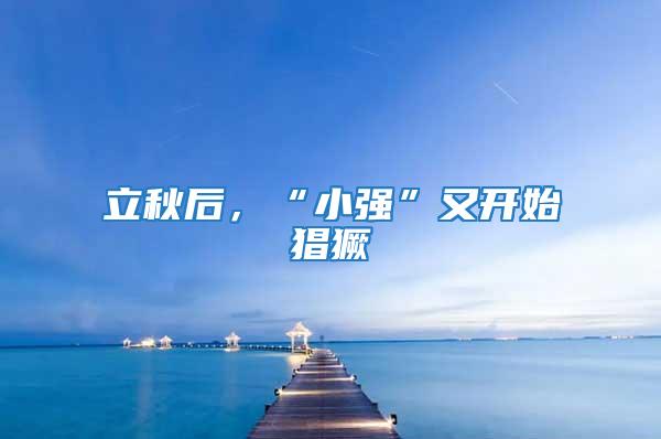 立秋后，“小強(qiáng)”又開始猖獗