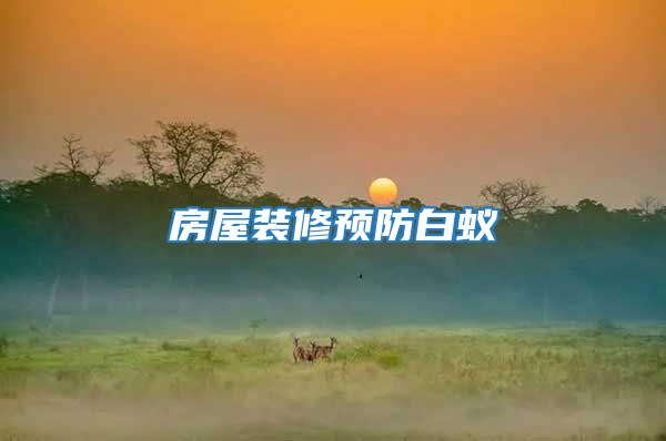 房屋裝修預防白蟻