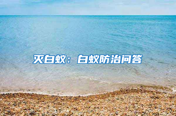 滅白蟻：白蟻防治問答