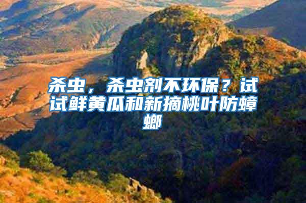 殺蟲，殺蟲劑不環保？試試鮮黃瓜和新摘桃葉防蟑螂