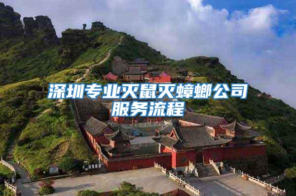 深圳專業滅鼠滅蟑螂公司服務流程