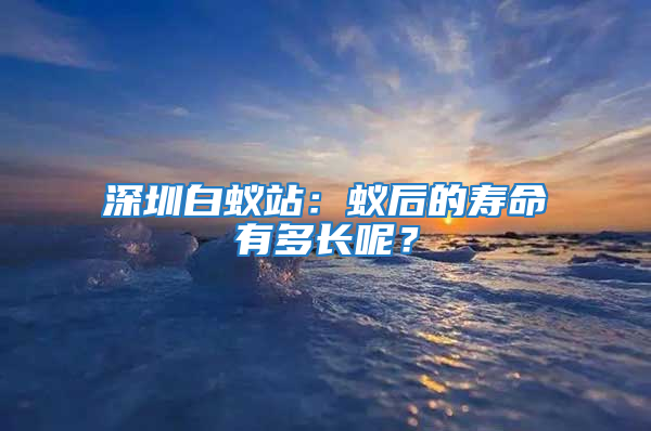 深圳白蟻站：蟻后的壽命有多長呢？