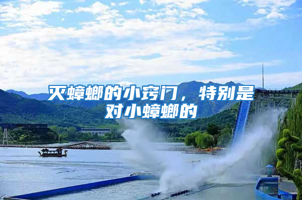 滅蟑螂的小竅門，特別是對小蟑螂的