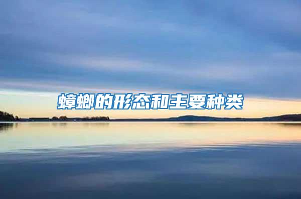 蟑螂的形態和主要種類