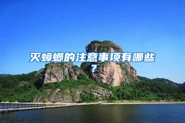 滅蟑螂的注意事項有哪些？