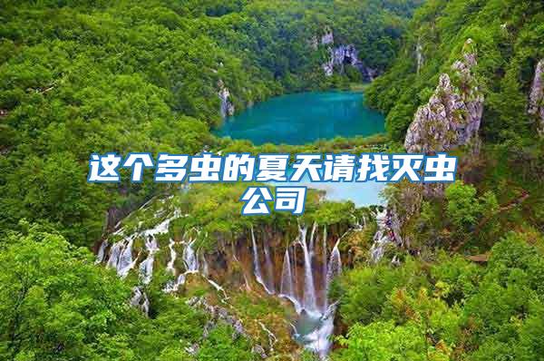 這個多蟲的夏天請找滅蟲公司