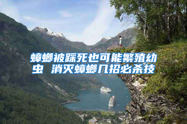 蟑螂被踩死也可能繁殖幼蟲 消滅蟑螂幾招必殺技