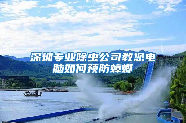 深圳專業除蟲公司教您電腦如何預防蟑螂