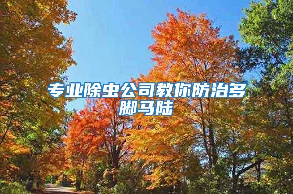 專業(yè)除蟲公司教你防治多腳馬陸