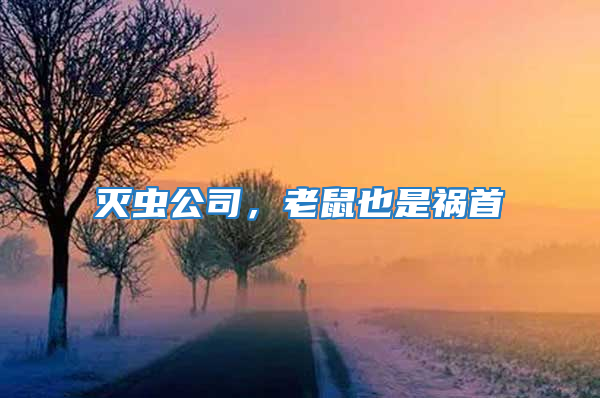 滅蟲公司，老鼠也是禍首