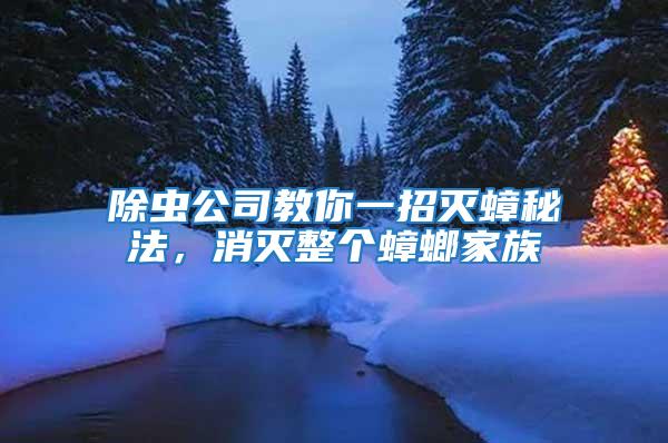 除蟲公司教你一招滅蟑秘法，消滅整個蟑螂家族