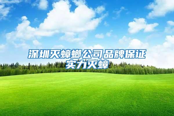 深圳滅蟑螂公司品牌保證實力滅蟑