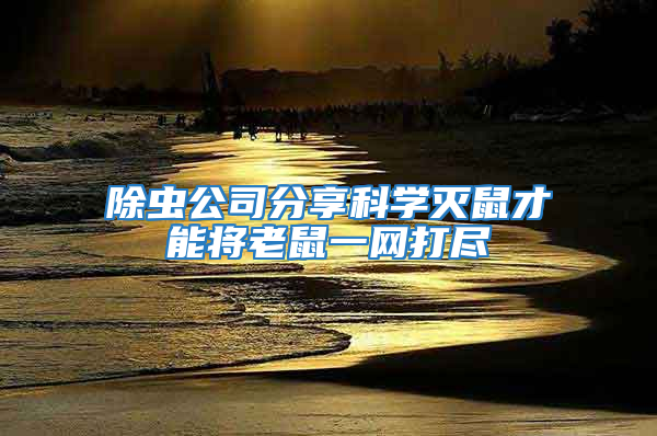 除蟲公司分享科學滅鼠才能將老鼠一網打盡