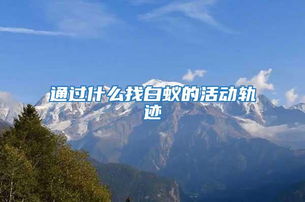 通過什么找白蟻的活動(dòng)軌跡