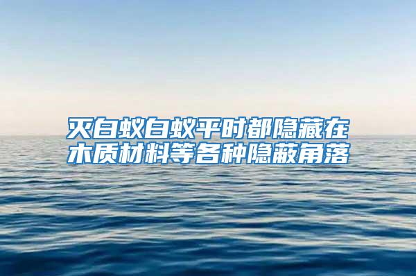 滅白蟻白蟻平時都隱藏在木質材料等各種隱蔽角落
