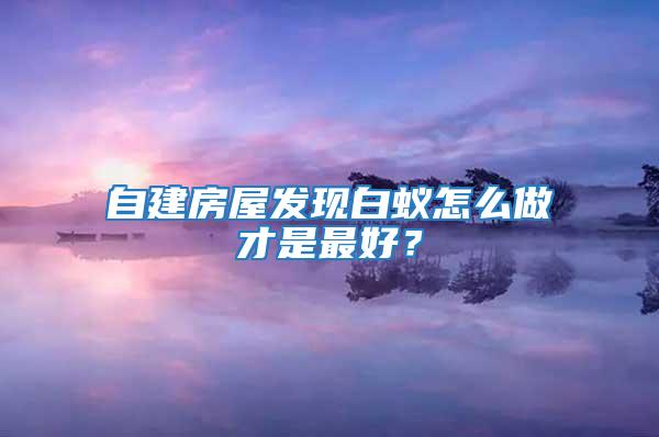 自建房屋發現白蟻怎么做才是最好？