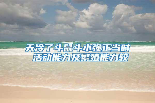 天冷了斗鼠斗小強(qiáng)正當(dāng)時(shí) 活動(dòng)能力及繁殖能力較