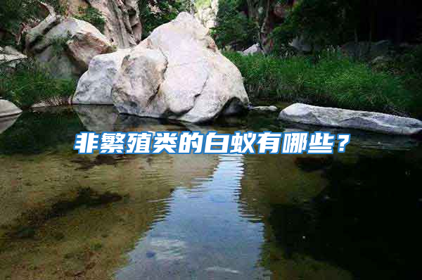 非繁殖類的白蟻有哪些？