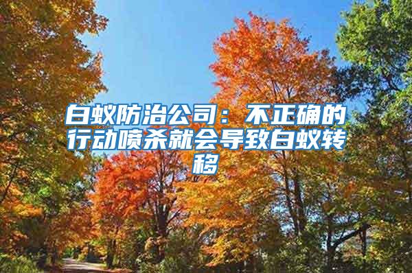白蟻防治公司：不正確的行動(dòng)噴殺就會(huì)導(dǎo)致白蟻轉(zhuǎn)移