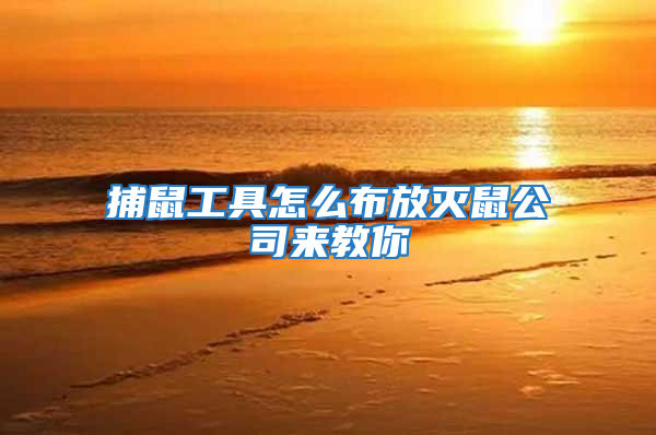 捕鼠工具怎么布放滅鼠公司來教你