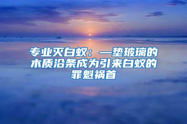 專業滅白蟻：—墊玻璃的木質沿條成為引來白蟻的罪魁禍首