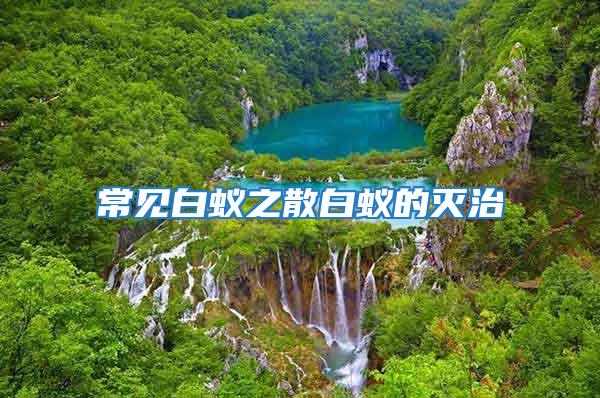 常見白蟻之散白蟻的滅治