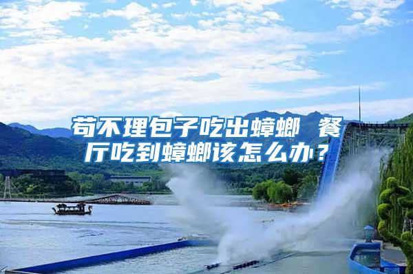 茍不理包子吃出蟑螂 餐廳吃到蟑螂該怎么辦？