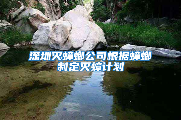 深圳滅蟑螂公司根據(jù)蟑螂制定滅蟑計(jì)劃