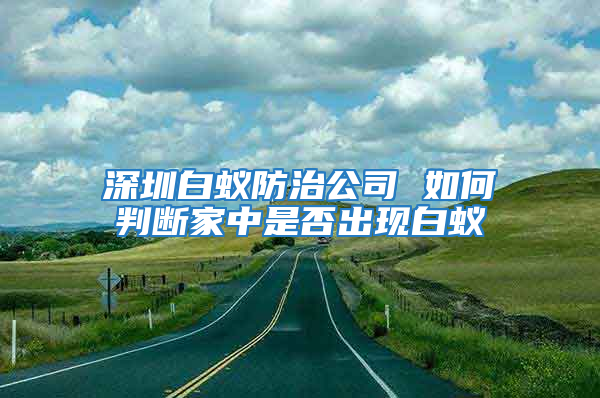 深圳白蟻防治公司 如何判斷家中是否出現白蟻