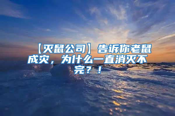 【滅鼠公司】告訴你老鼠成災，為什么一直消滅不完？！