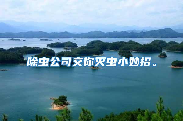 除蟲公司交你滅蟲小妙招。