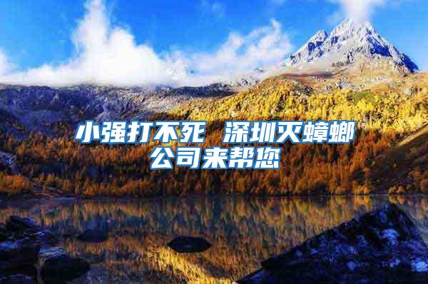 小強(qiáng)打不死 深圳滅蟑螂公司來(lái)幫您