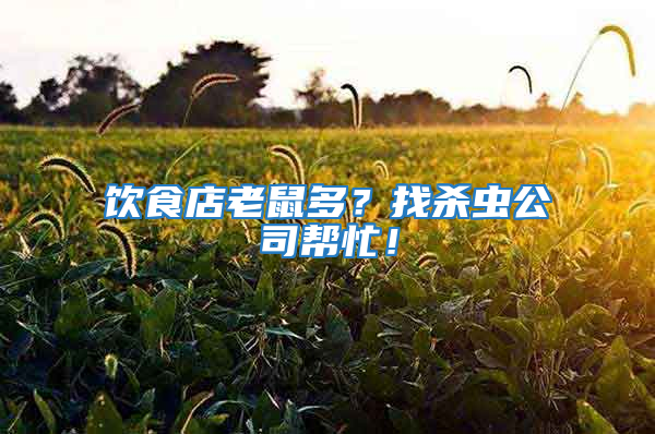 飲食店老鼠多？找殺蟲公司幫忙！
