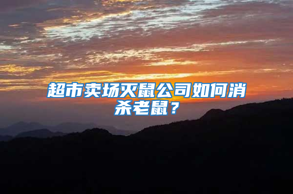 超市賣場滅鼠公司如何消殺老鼠？