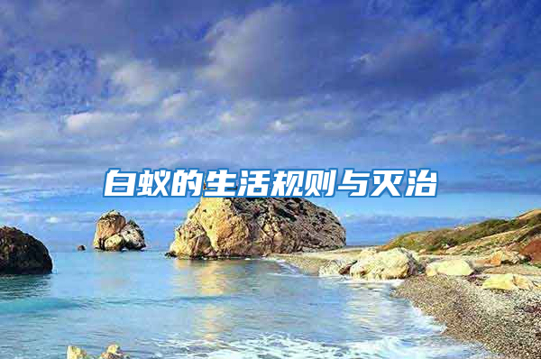 白蟻的生活規則與滅治