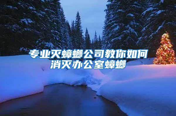 專業滅蟑螂公司教你如何消滅辦公室蟑螂