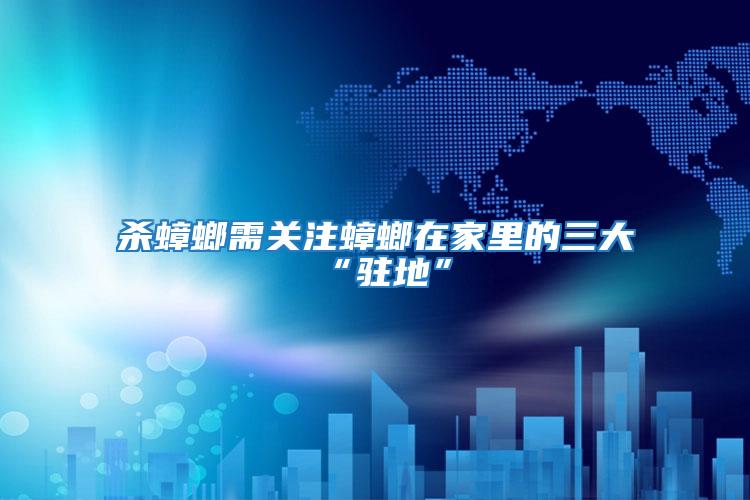殺蟑螂需關注蟑螂在家里的三大“駐地”