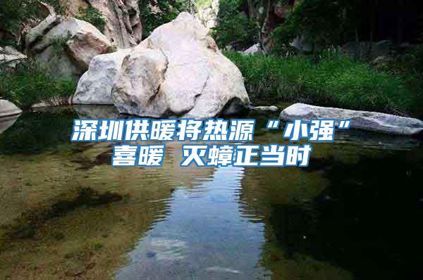 深圳供暖將熱源“小強”喜暖 滅蟑正當時