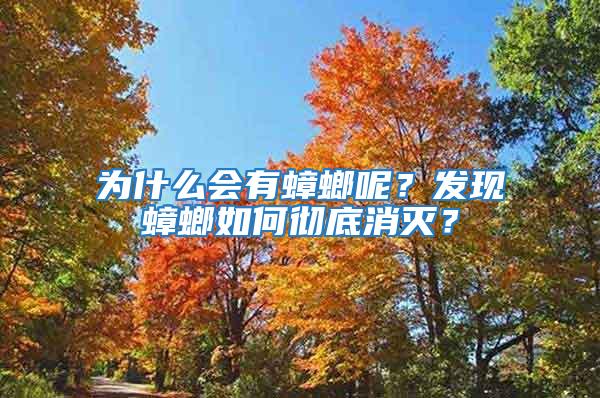 為什么會(huì)有蟑螂呢？發(fā)現(xiàn)蟑螂如何徹底消滅？