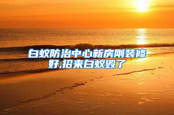 白蟻防治中心新房剛裝修好,招來(lái)白蟻毀了