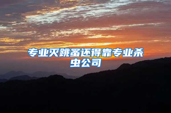專業(yè)滅跳蚤還得靠專業(yè)殺蟲公司