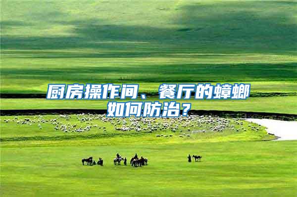 廚房操作間、餐廳的蟑螂如何防治？