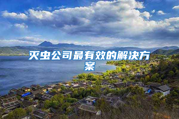 滅蟲公司最有效的解決方案
