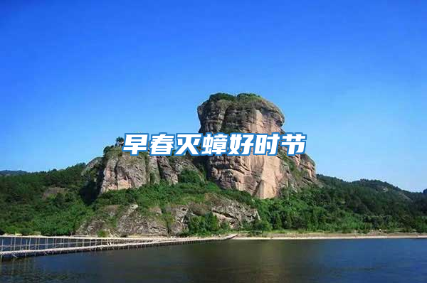 早春滅蟑好時節