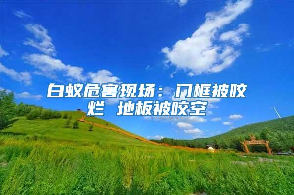 白蟻危害現場：門框被咬爛 地板被咬空