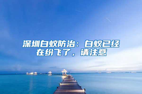 深圳白蟻防治：白蟻已經(jīng)在紛飛了，請注意