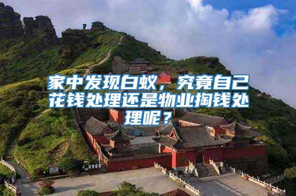 家中發現白蟻，究竟自己花錢處理還是物業掏錢處理呢？