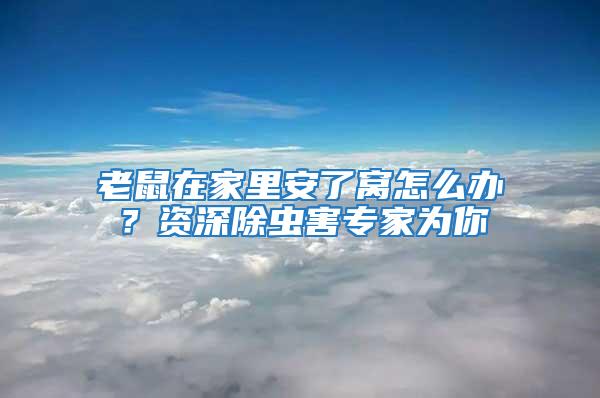 老鼠在家里安了窩怎么辦？資深除蟲害專家為你